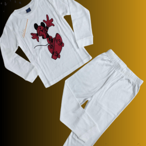 Boy`s T-shirt and Trouser combo texwizard limited