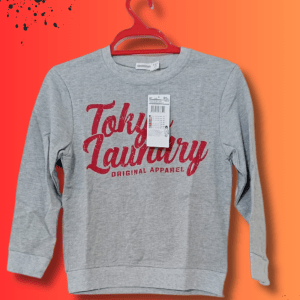 Boys Full Sleeve Sweatshirt