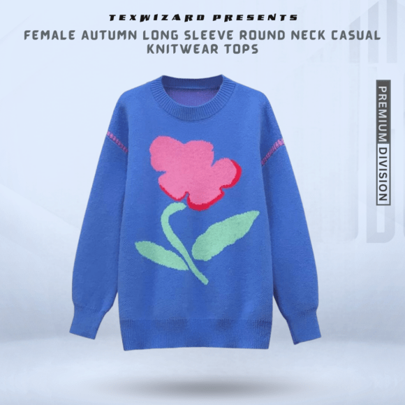 Female Autumn Long Sleeve Round Neck Casual Knitwear Tops (2) Knitwear Tops